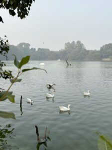 Best Places to Visit in Delhi